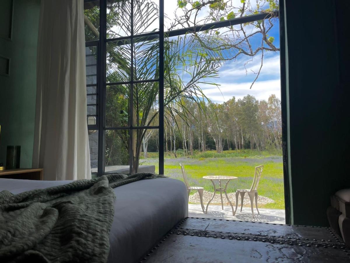 טולבאך Le Reve Boutique Hotel מראה חיצוני תמונה