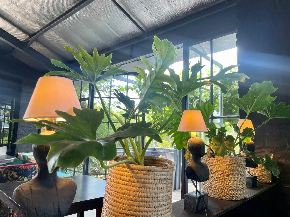 טולבאך Le Reve Boutique Hotel מראה חיצוני תמונה