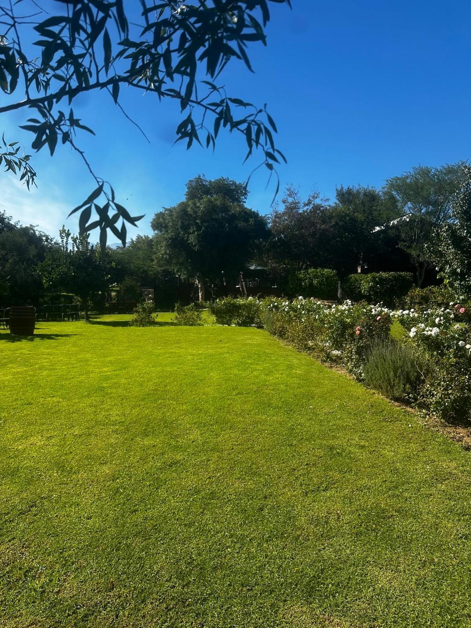 טולבאך Le Reve Boutique Hotel מראה חיצוני תמונה